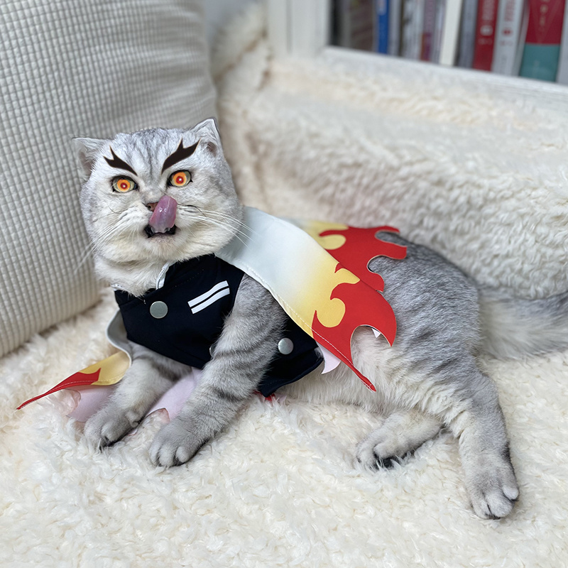 Demon Slayer Pet Cosplay Rengo - đánh giá và giá Cosplay Flame Prop